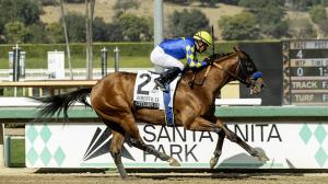 NTRA Top 10 3-year-olds, Triple Crown Poll, Citizen Bull, Kentucky Derby